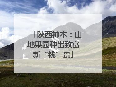 陕西神木：山地果园种出致富新“钱”景
