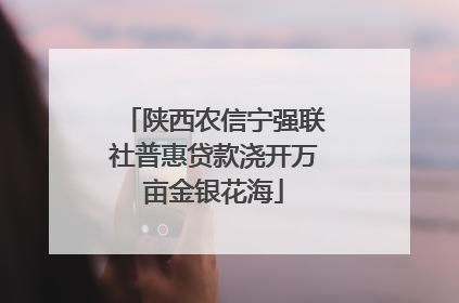 陕西农信宁强联社普惠贷款浇开万亩金银花海