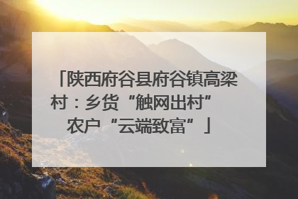 陕西府谷县府谷镇高梁村：乡货“触网出村” 农户“云端致富”