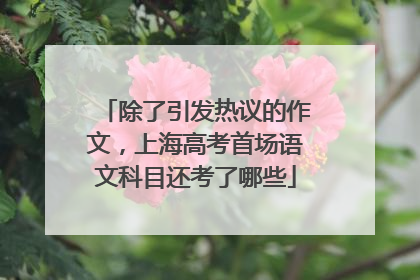 除了引发热议的作文，上海高考首场语文科目还考了哪些