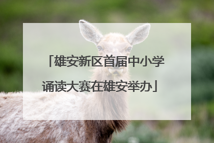 雄安新区首届中小学诵读大赛在雄安举办