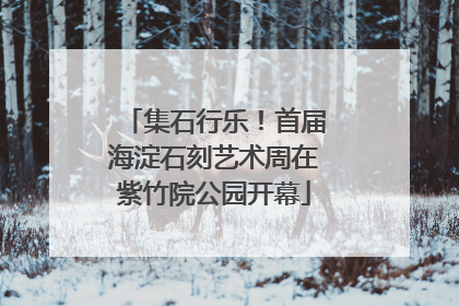 集石行乐！首届海淀石刻艺术周在紫竹院公园开幕