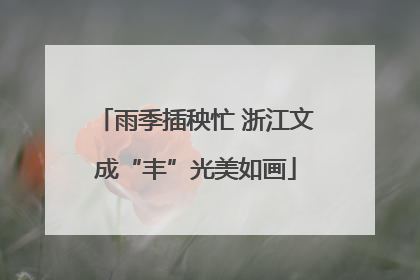 雨季插秧忙 浙江文成“丰”光美如画