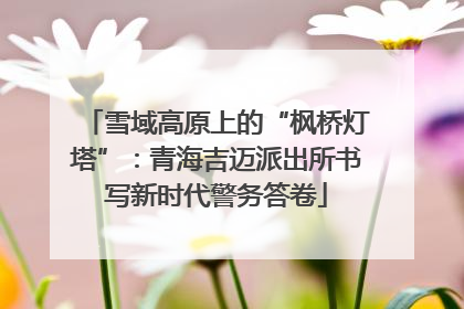 雪域高原上的“枫桥灯塔”：青海吉迈派出所书写新时代警务答卷