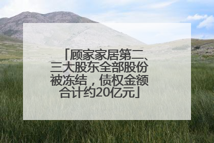 顾家家居第二、三大股东全部股份被冻结，债权金额合计约20亿元