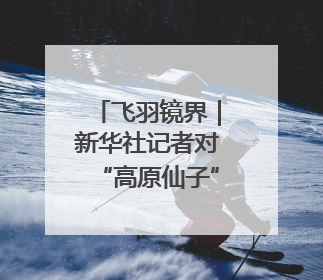 飞羽镜界｜新华社记者对“高原仙子”的四季追寻