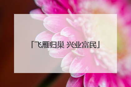 飞雁归巢 兴业富民