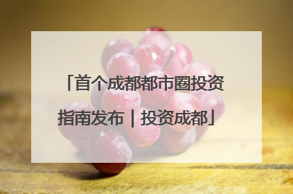 首个成都都市圈投资指南发布｜投资成都