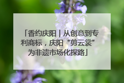 香约庆阳｜从创意到专利商标，庆阳“剪云裳”为非遗市场化探路