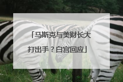 马斯克与美财长大打出手？白宫回应
