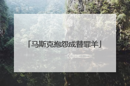 马斯克抱怨成替罪羊