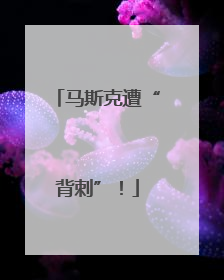 马斯克遭“背刺”！