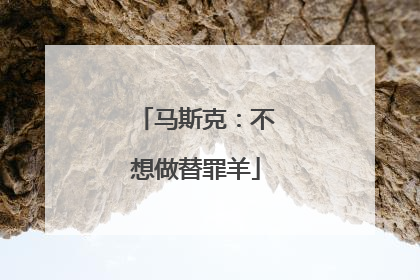 马斯克：不想做替罪羊