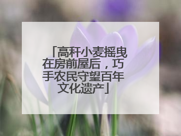 高秆小麦摇曳在房前屋后，巧手农民守望百年文化遗产