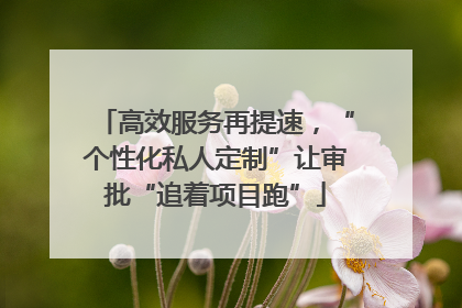 高效服务再提速，“个性化私人定制”让审批“追着项目跑”