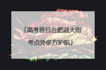 高考首日合肥遇大雨 考点外多方护航