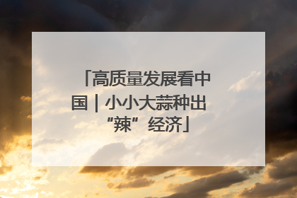 高质量发展看中国｜小小大蒜种出“辣”经济