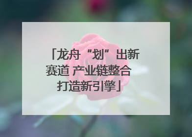 龙舟“划”出新赛道 产业链整合打造新引擎