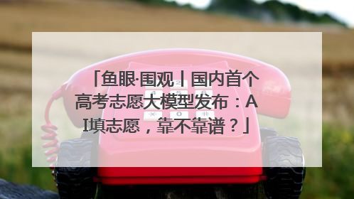 鱼眼·围观丨国内首个高考志愿大模型发布：AI填志愿，靠不靠谱？