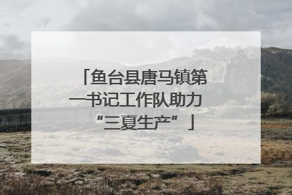 鱼台县唐马镇第一书记工作队助力“三夏生产”