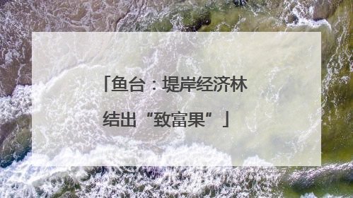 鱼台：堤岸经济林结出“致富果”