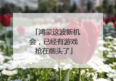 鸿蒙这波新机会，已经有游戏抢在前头了