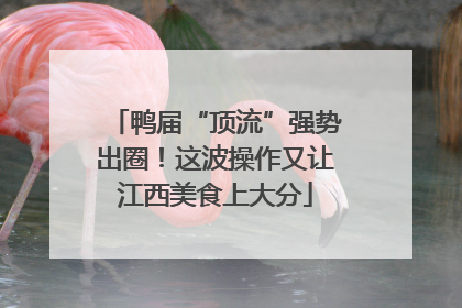 鸭届“顶流”强势出圈！这波操作又让江西美食上大分