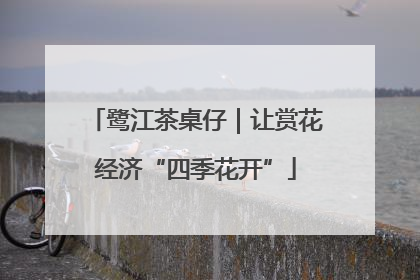 鹭江茶桌仔｜让赏花经济“四季花开”