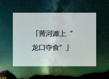 黄河滩上“龙口夺食”
