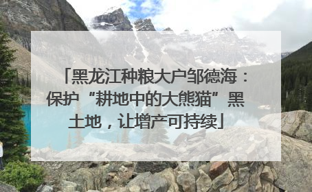 黑龙江种粮大户邹德海：保护“耕地中的大熊猫”黑土地，让增产可持续