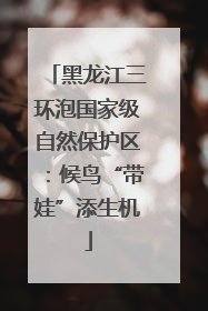 黑龙江三环泡国家级自然保护区：候鸟“带娃”添生机