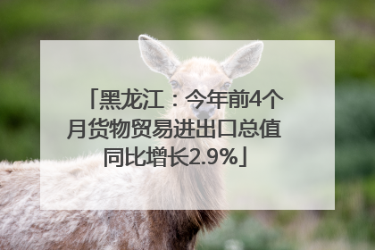 黑龙江：今年前4个月货物贸易进出口总值同比增长2.9%