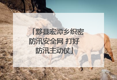 黟县宏潭乡织密防汛安全网 打好防汛主动仗