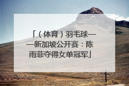 （体育）羽毛球——新加坡公开赛：陈雨菲夺得女单冠军