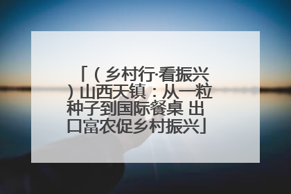 （乡村行·看振兴）山西天镇：从一粒种子到国际餐桌 出口富农促乡村振兴