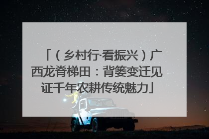 （乡村行·看振兴）广西龙脊梯田：背篓变迁见证千年农耕传统魅力