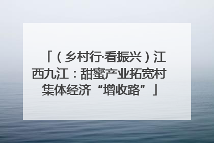 （乡村行·看振兴）江西九江：甜蜜产业拓宽村集体经济“增收路”