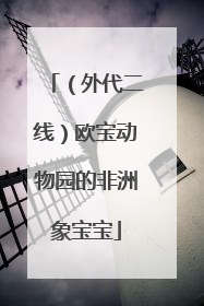 （外代二线）欧宝动物园的非洲象宝宝