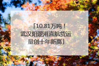 10.81万吨！武汉阳逻港直航货运量创十年新高
