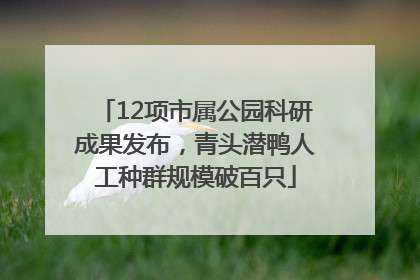 12项市属公园科研成果发布，青头潜鸭人工种群规模破百只