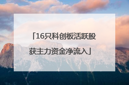 16只科创板活跃股获主力资金净流入