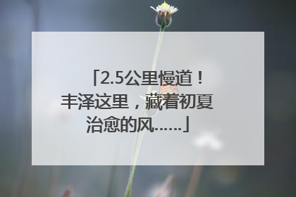 2.5公里慢道！丰泽这里，藏着初夏治愈的风……