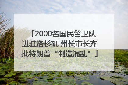 2000名国民警卫队进驻洛杉矶 州长市长齐批特朗普“制造混乱”