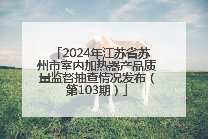 2024年江苏省苏州市室内加热器产品质量监督抽查情况发布（第103期）