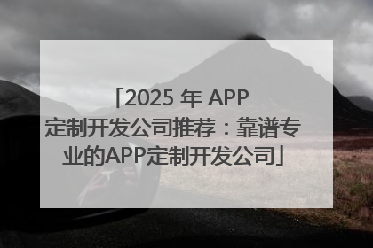 2025 年 APP 定制开发公司推荐：靠谱专业的APP定制开发公司
