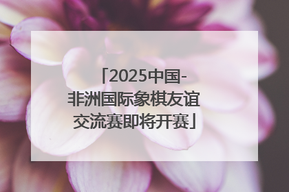 2025中国-非洲国际象棋友谊交流赛即将开赛