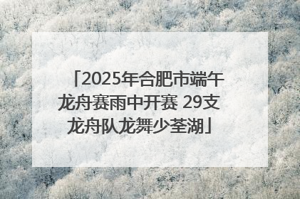2025年合肥市端午龙舟赛雨中开赛 29支龙舟队龙舞少荃湖