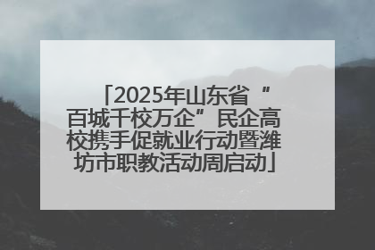 2025年山东省“百城千校万企”民企高校携手促就业行动暨潍坊市职教活动周启动