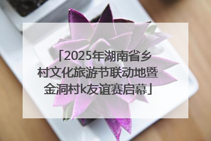 2025年湖南省乡村文化旅游节联动地暨金洞村k友谊赛启幕