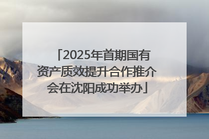 2025年首期国有资产质效提升合作推介会在沈阳成功举办